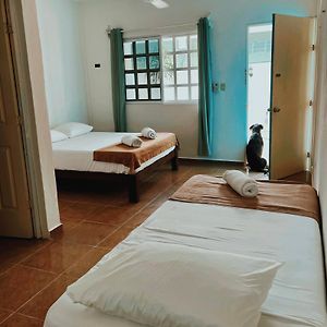 Private Bathroom King Room